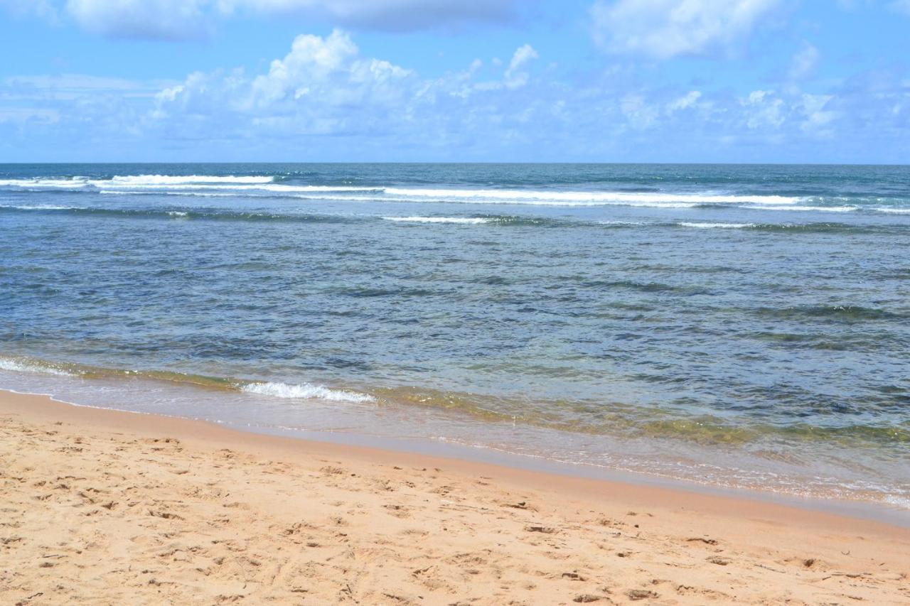 Praia Do Forte, Piscinas Naturais 외부 사진